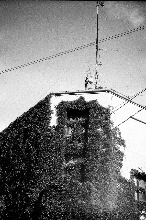 Pápa in Negative — 20