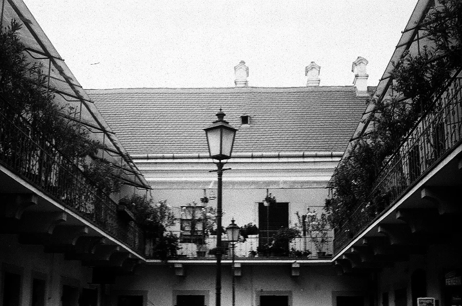 Pápa in Negative — 3